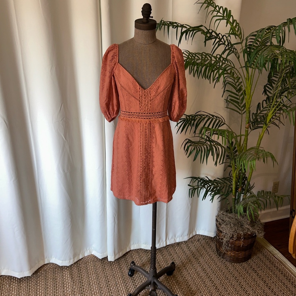 REVOLVE Terracotta Mini Dress